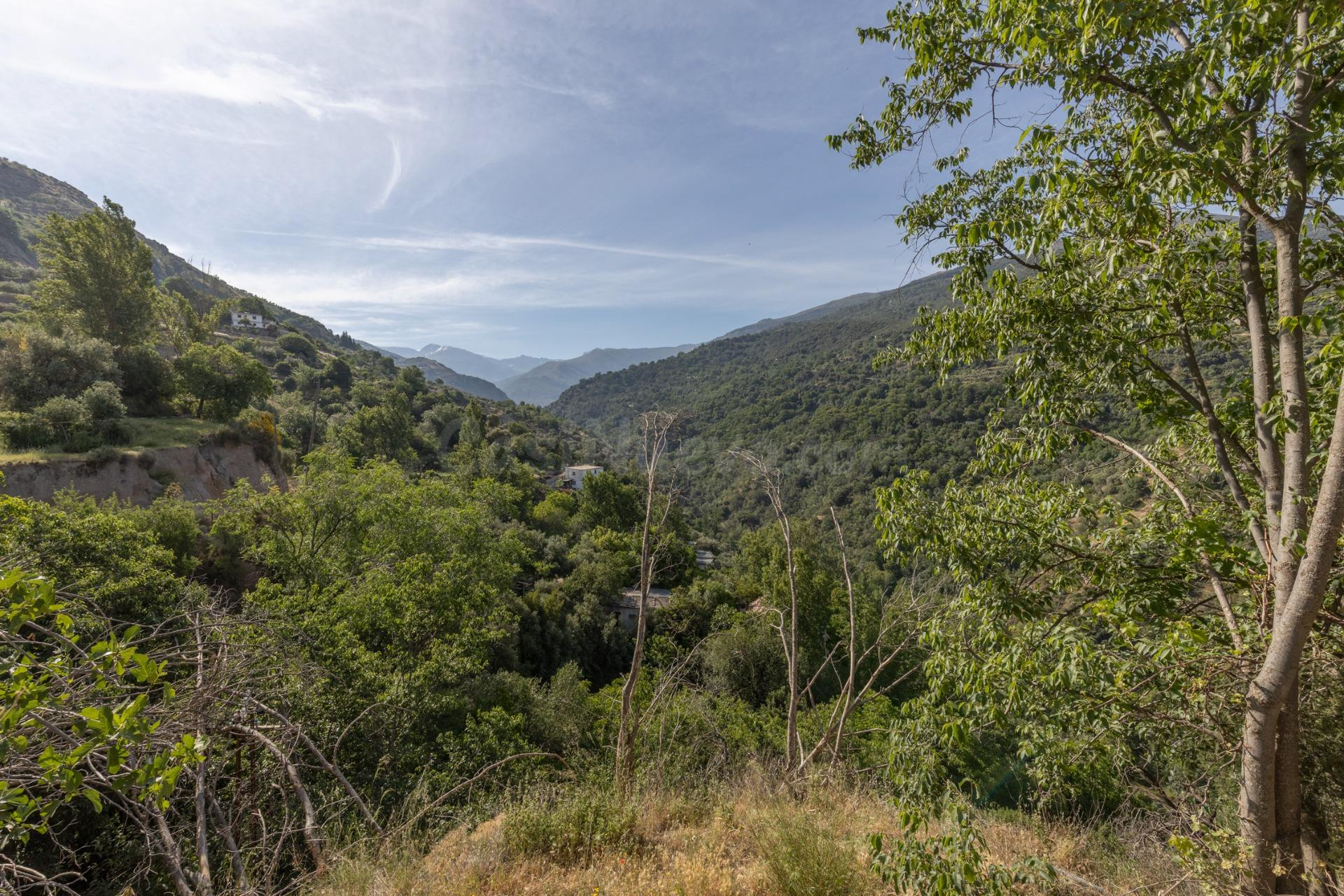 TERRENO URBANO con proyecto técnico enfocado a un COMPLEJO TURÍSTICO espectacular en Güejar Sierra.
