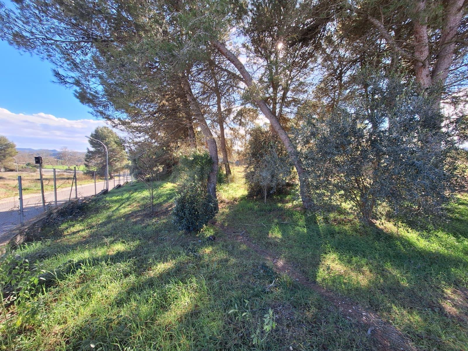 Parcel·la urbanitzable de 3.410 m2 a Sant Jaume Sesoliveres. Zona tranquil·la