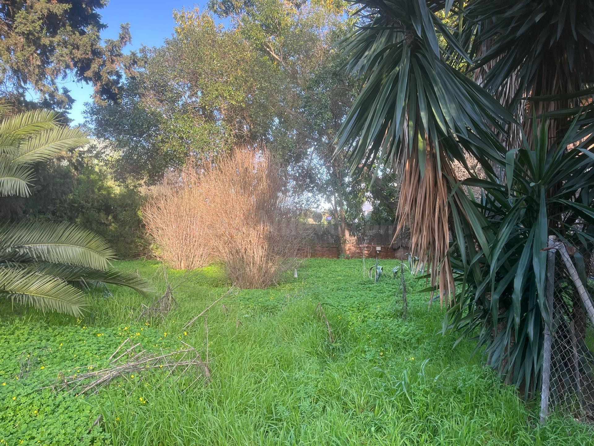 EXCLUSIVO CHALET INDEPENDIENTE EN SANTA CLARA — AMPLITUD, PRIVACIDAD Y GRAN POTENCIAL EN UNA DE LAS MEJORES ZONAS DE SEVILLA
