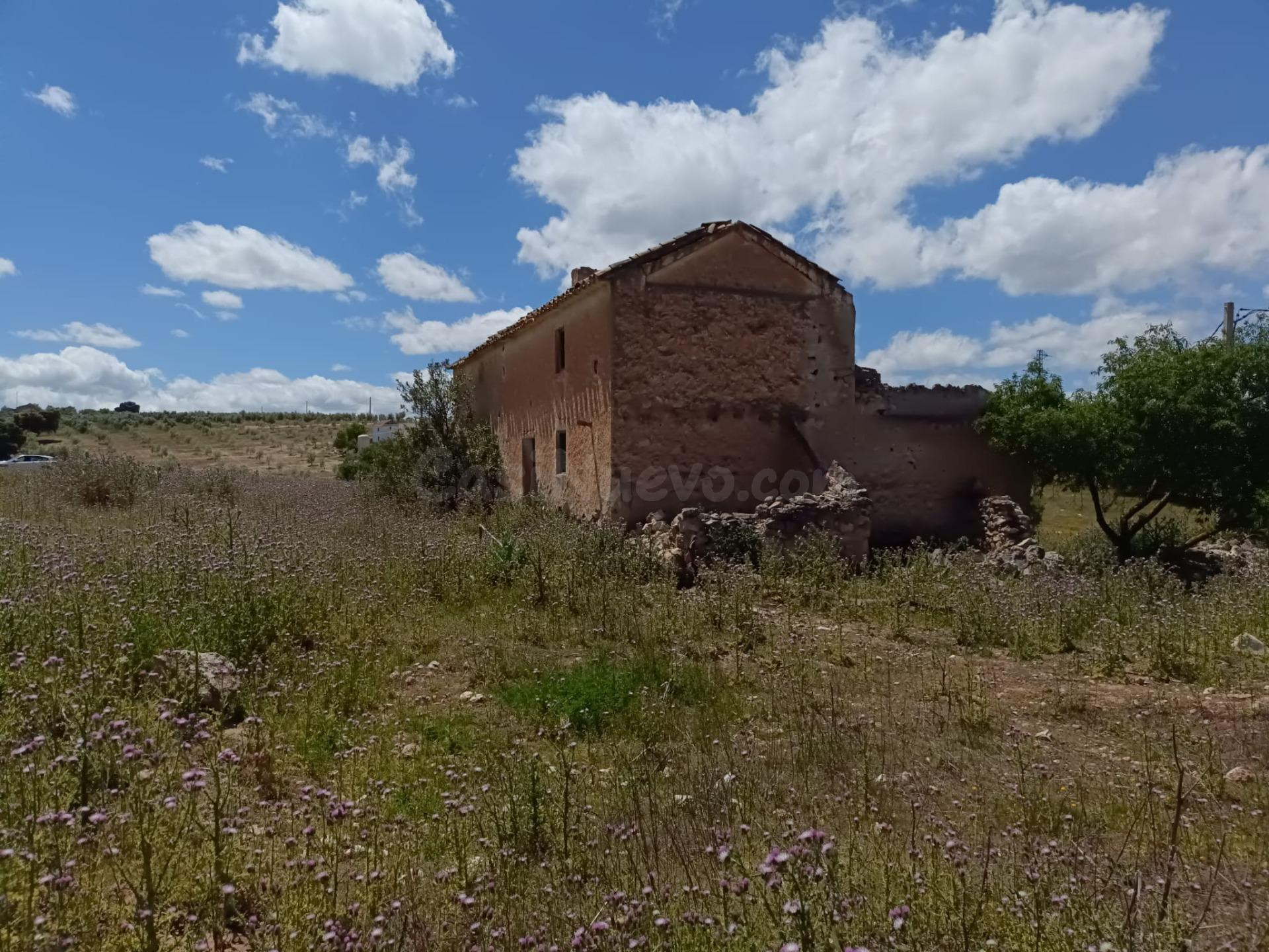 Exclusiva finca rústica en Salar – 18 fanegas de tierra calma con cortijo y suministros