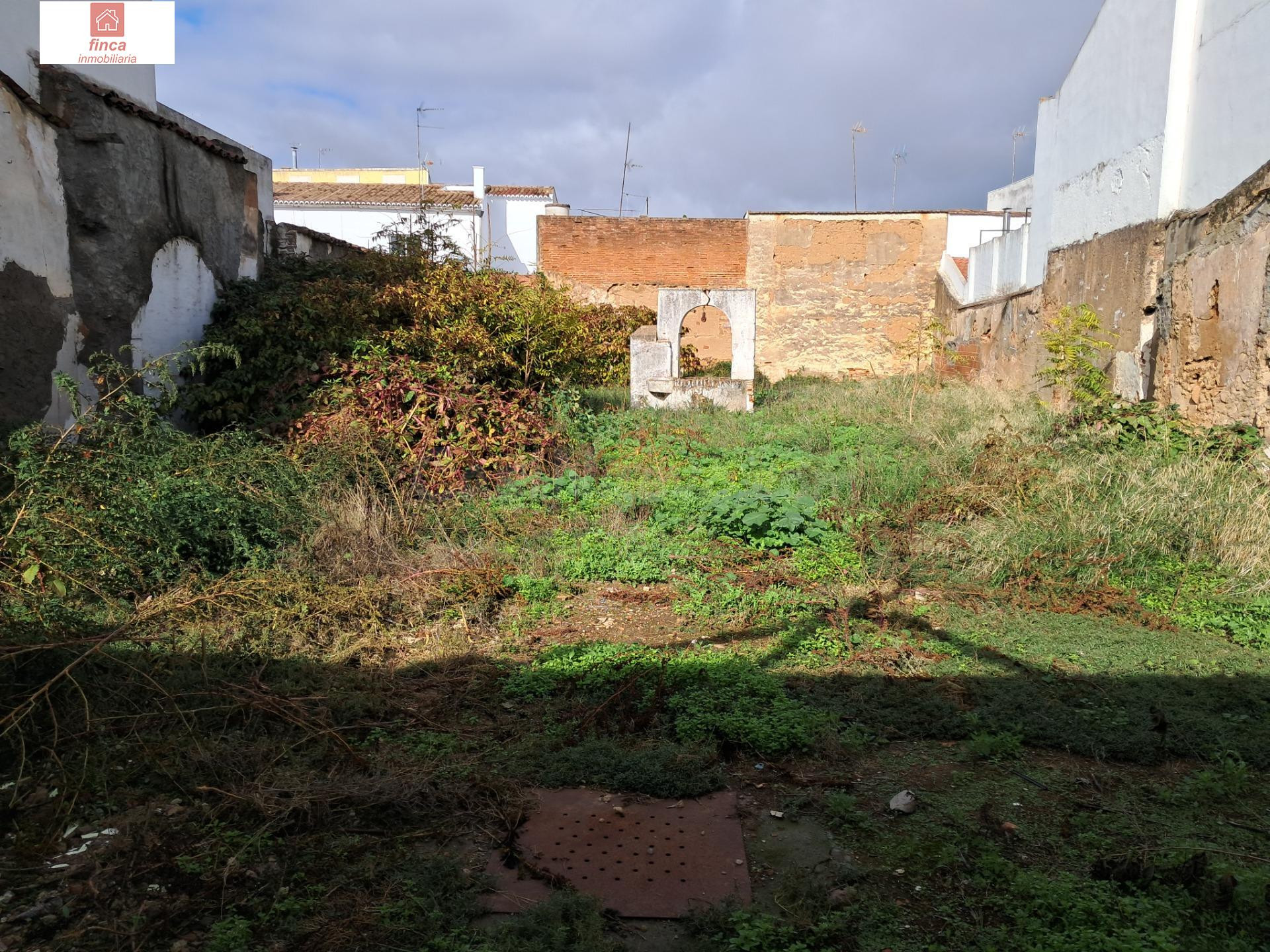 VENTA SOLAR EN MONTIJO, ZONA CENTRO, URBANO RESIDENCIAL, AMP - foto 2