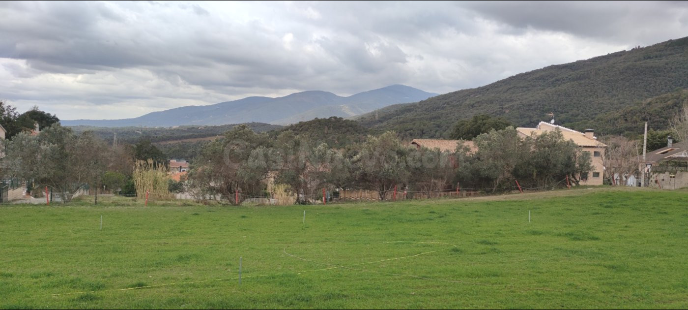 CAMPINS (PUEBLO): TERRENO URBANO NO CONSOLIDADO APTO PARA 3 UNIFAMILIARES AISLADAS