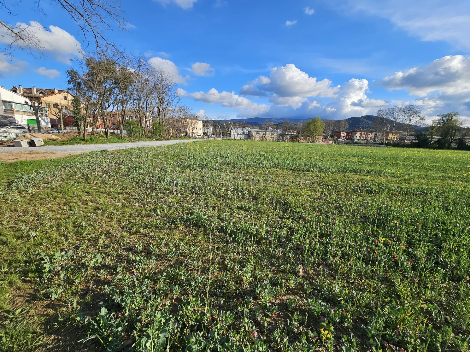 SANT CELONI - RIELLS I VIABREA: GRAN TERRENO UNIDAD DE ACTUACIÓN DESTINADO EN PARTE A PROMOCIÓN RESIDENCIAL Y EN PARTE PROMOCIÓN INDUSTRIAL