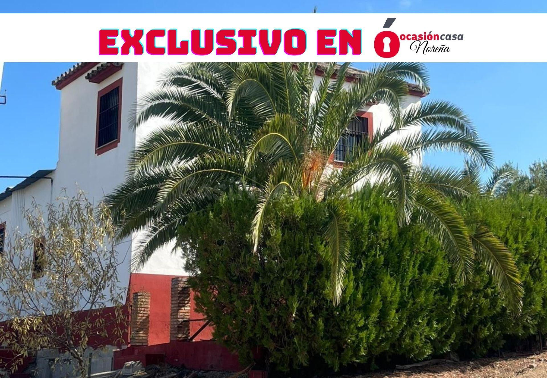 Finca de 7 Fanegas de olivar marteño en Espejo: Un Refugio Rural Único