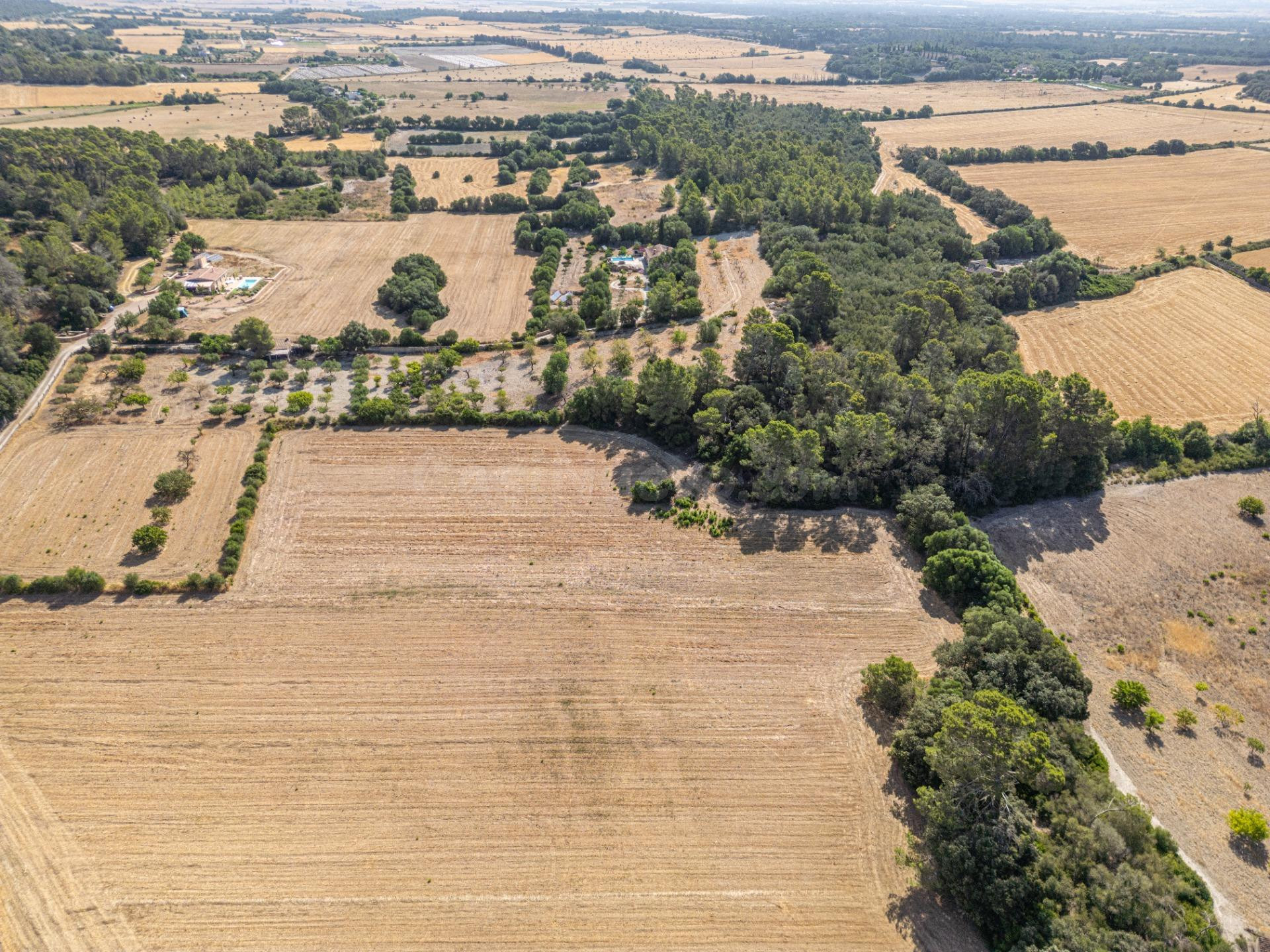 Conjunto de parcelas rústicas en venta en Porreres (Mallorca) – Zona Son Mora