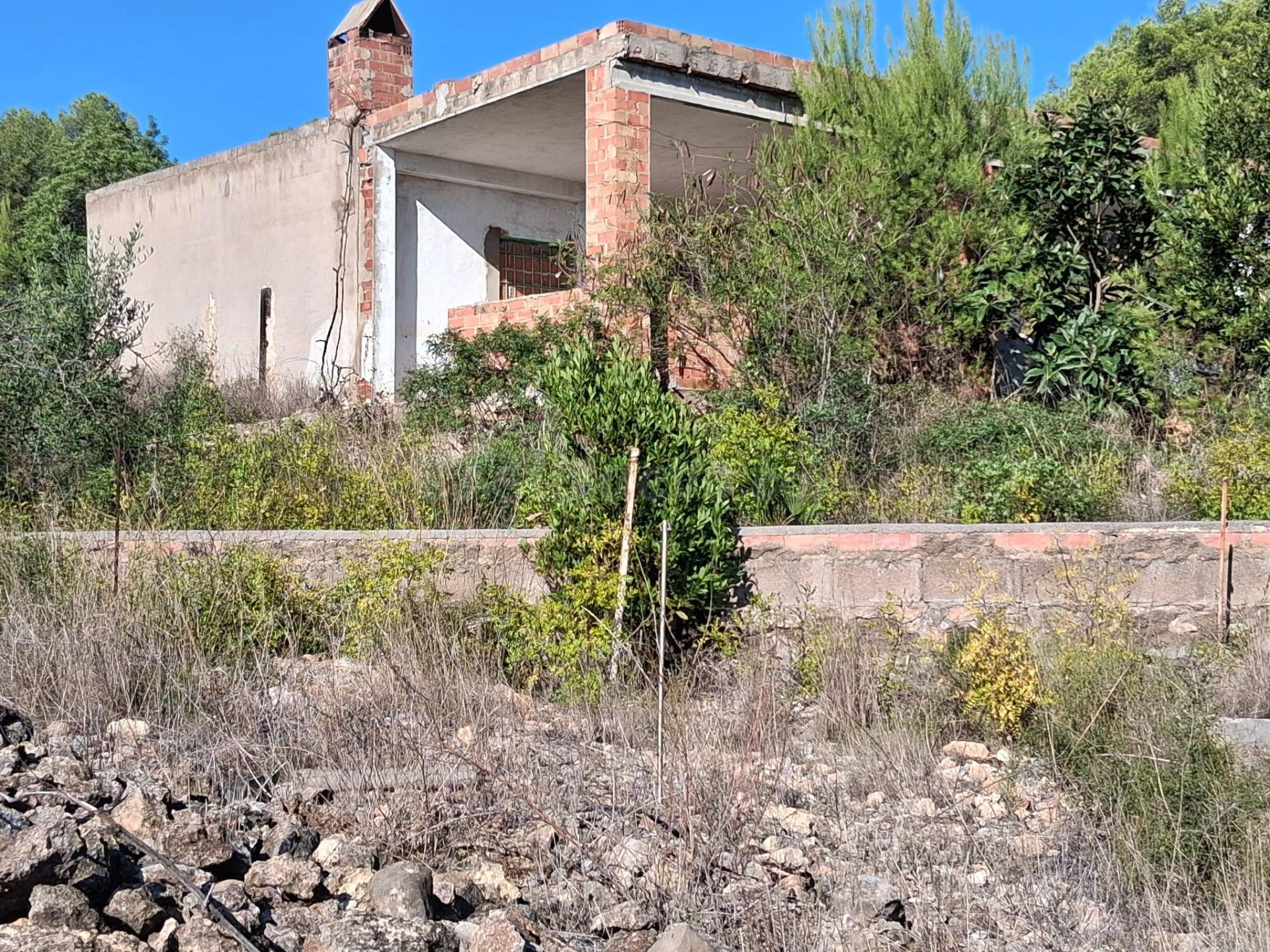 Terreno en Pedrissetes, Alcora-Rustico  de 13.005 Metros