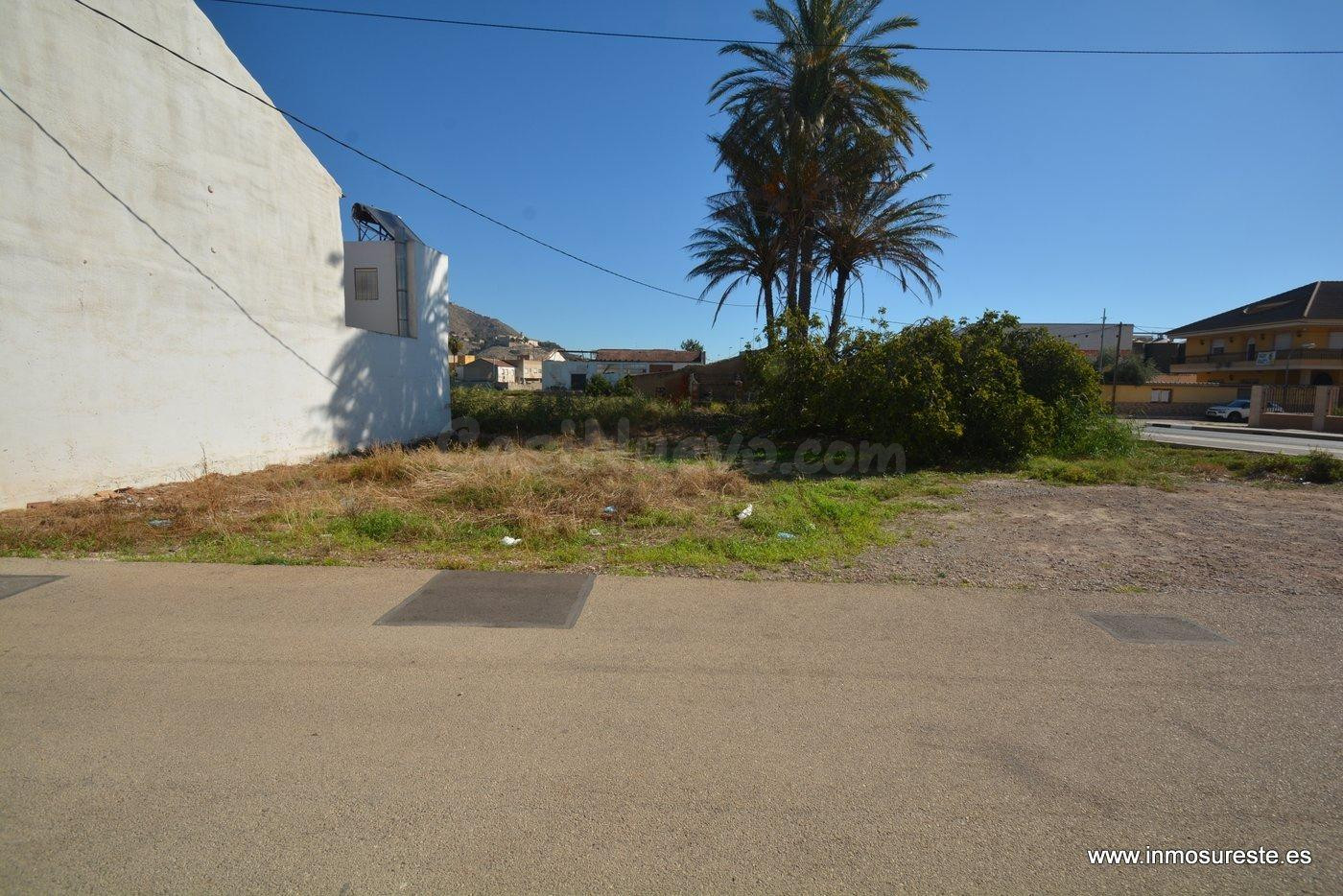 ¡¡ EXCELENTE OPORTUNIDAD !! Solar rústico en Orihuela zona Ctra. de Beniel, 969 m2. de superficie con casa habitación.