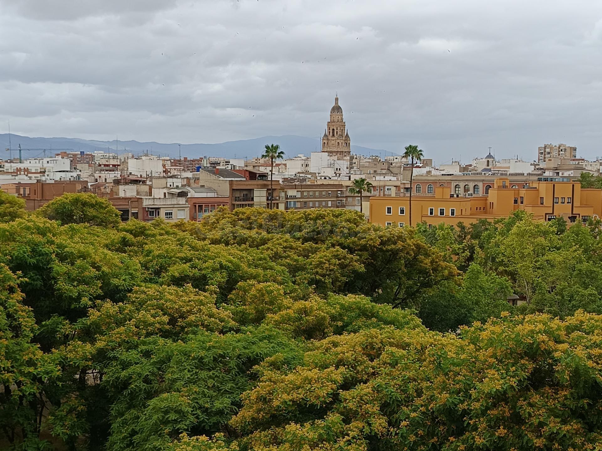 PISO EN LA FAMA PROXIMO A LA UNIVERSIDAD... Y TIENE VISTAS A LA CATEDRAL DE MURCIA