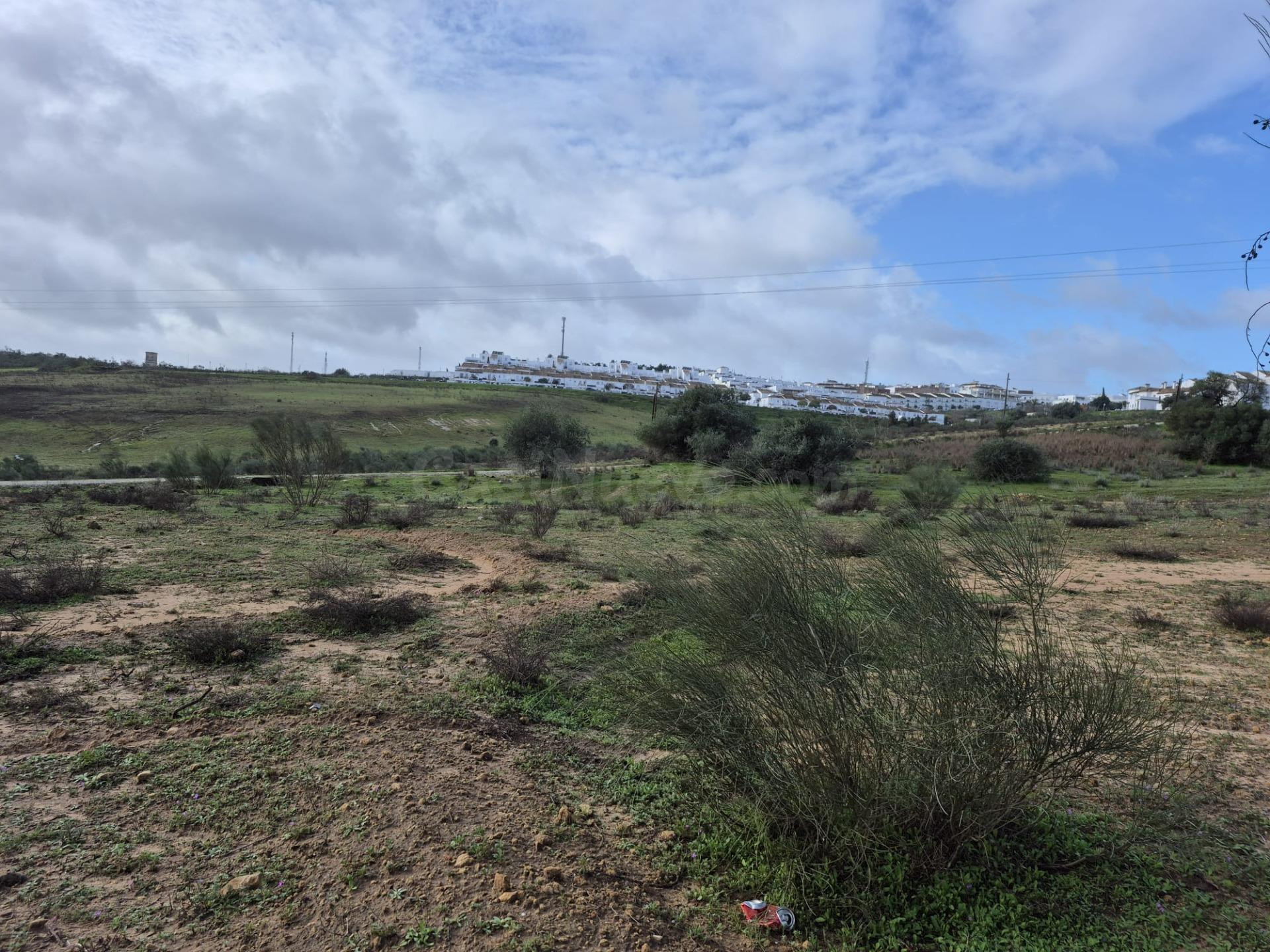 SE VENDE PARCELA EN ZONA CARRETERA EL BOSQUE- EL PANTANO DE  - foto 3