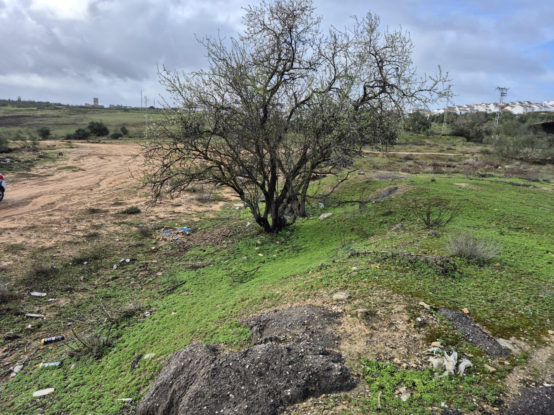 SE VENDE PARCELA EN ZONA CARRETERA EL BOSQUE- EL PANTANO DE  - foto 4