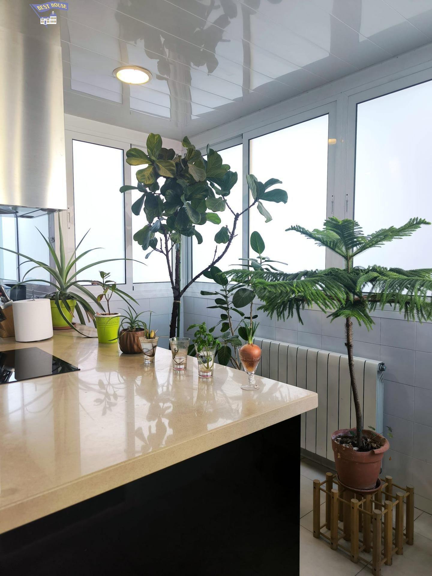 AMPLIO PISO EN BADALONA, ZONA CONGRÉS - EXCELENTE OPORTUNIDAD DE INVERSIÓN
