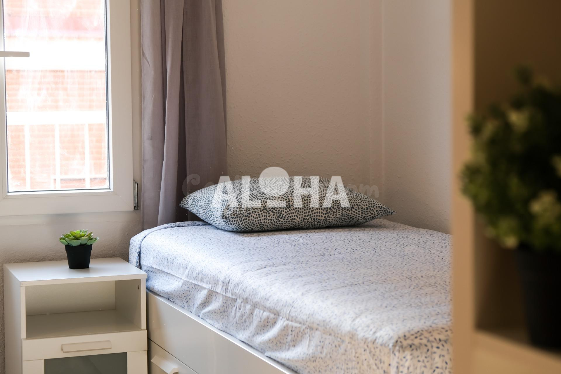 HABITACIÓN EN ALQUILER PARA ESTUDIANTES UNIVERSITARIOS (SOLO CHICAS) - MONCADA