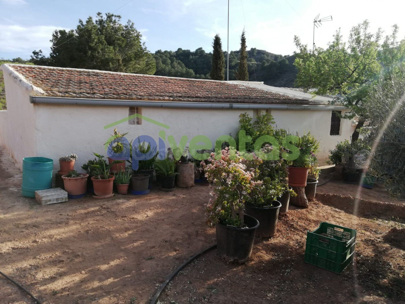 Casa  rural en la Sierra de la Almenara