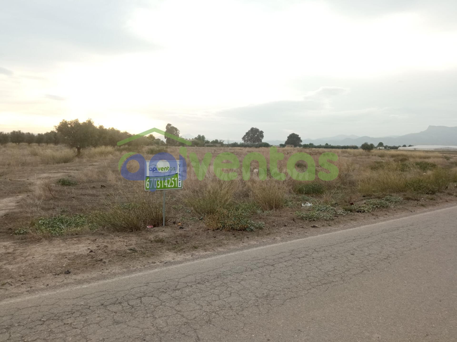 Parcela  edificable en Marchena