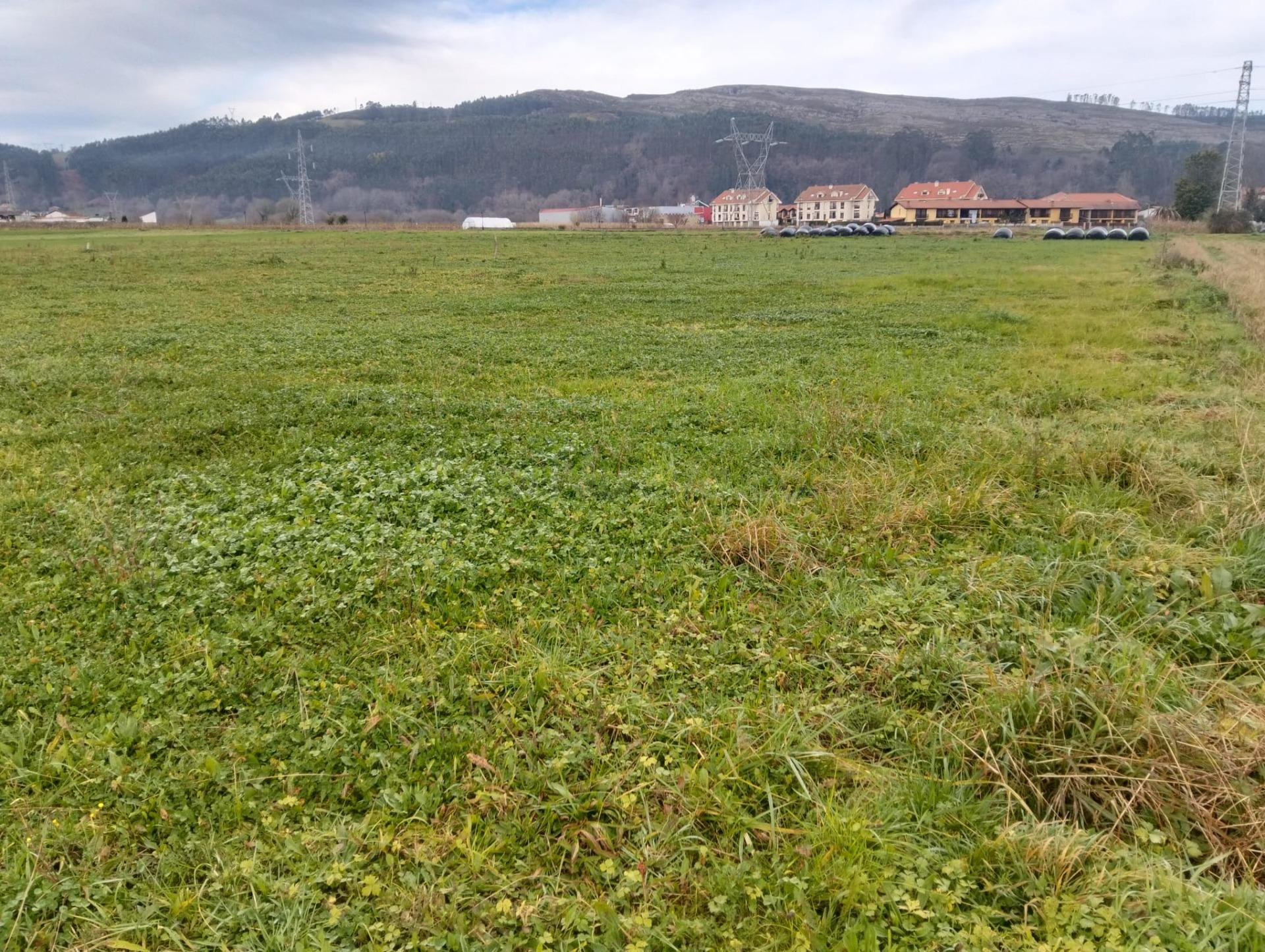 Finca rústica urbanizable previa autorización de la CROTU de 2.837 m2 junto al casco urbano – Casar de Periedo