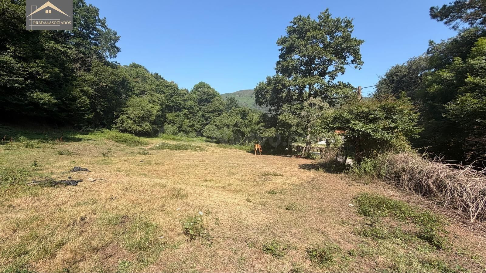 Finca Urbanizable con autorización de la CROTU y proyecto básico de 1.500 m2 en Barcenillas (Ruente)