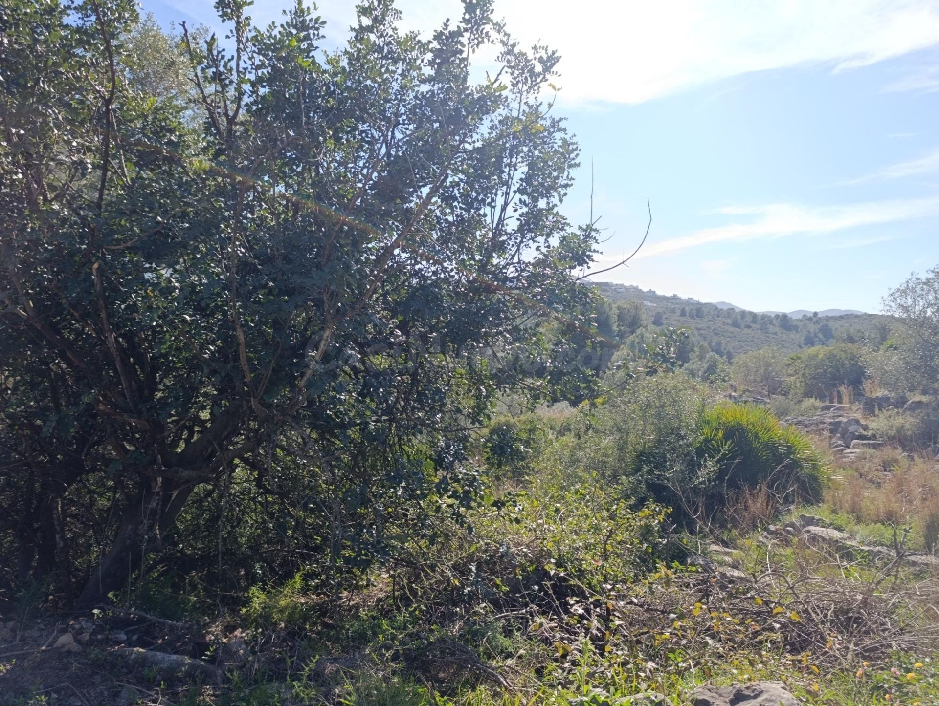 Gran parcela en venta en Monte Pego: inversión, espacio y proyección