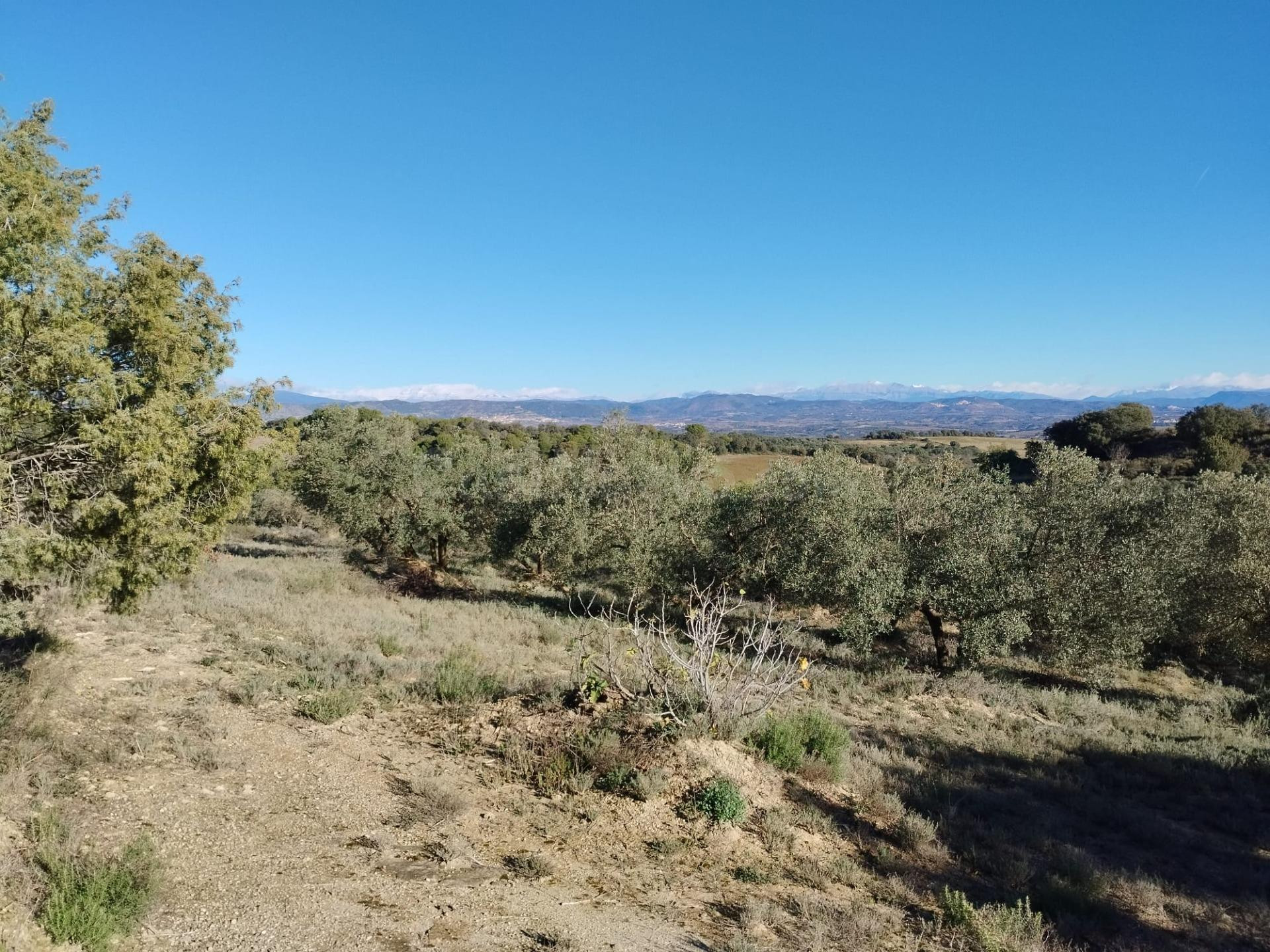 Finca rústica de 2.6 Hectareas en Barbastro