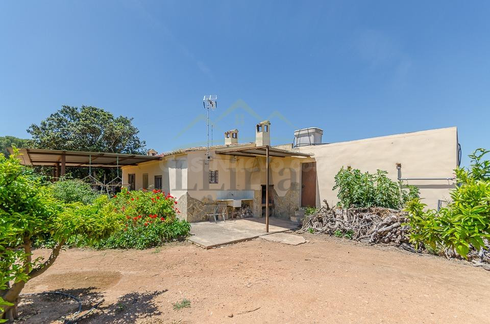 Ref. 04370.- Finca agrícola de 31.000 m2 con explotación de naranjos en producción y vivienda – Villamarchante