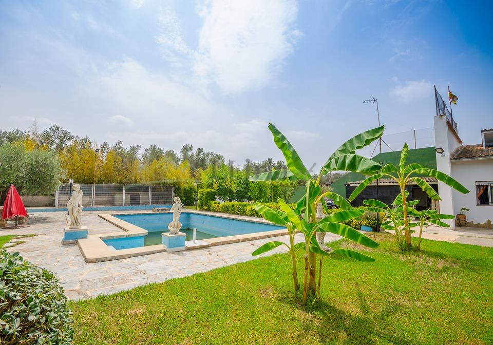 Ref. 04389.- Chalet independiente con casa de invitados, piscina y más de 2.000m2 de parcela en Pedralba