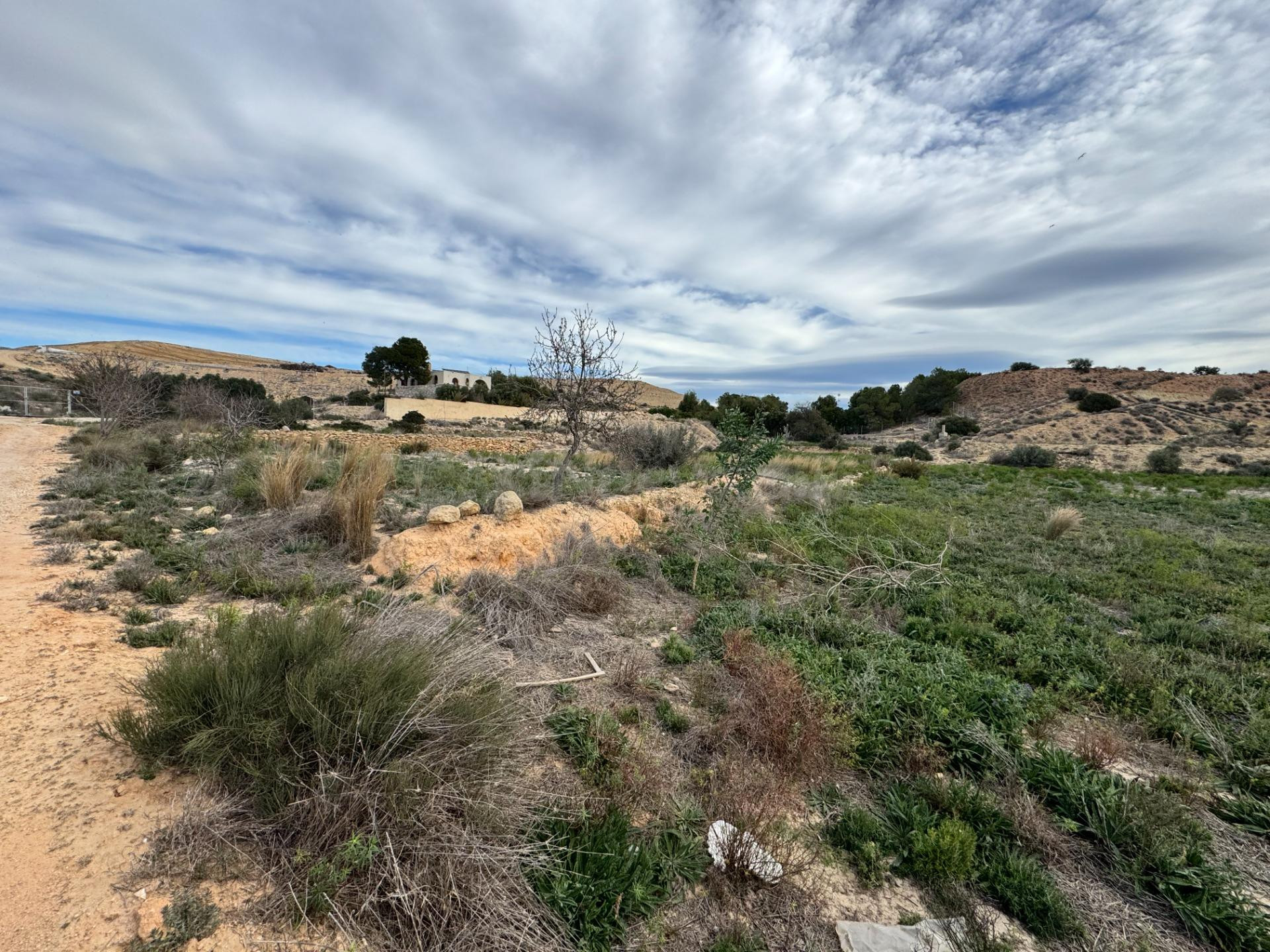 FINCA RUSTICA DE 23000M2 DONDE SE PUEDE EDIFICAR UNA CASA DE CAMPO
