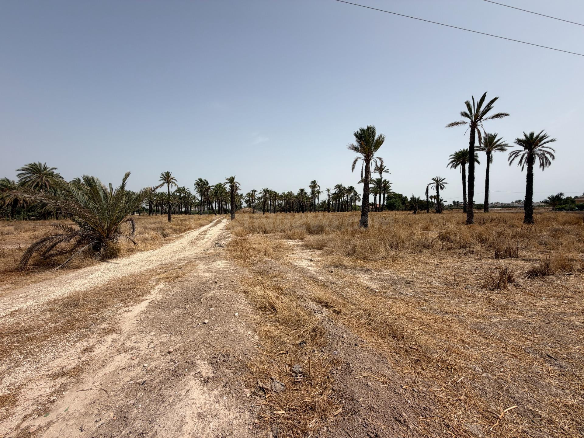 PARCELA DE 10.200M MUY PRÓXIMO A ELCHE PARA PODER CONSTRUIR LA CASA DE TUS SUEÑOS.