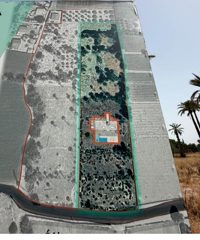 PARCELA DE 12400M MUY PRÓXIMO A ELCHE PARA PODER CONSTRUIR LA CASA DE TUS SUEÑOS.