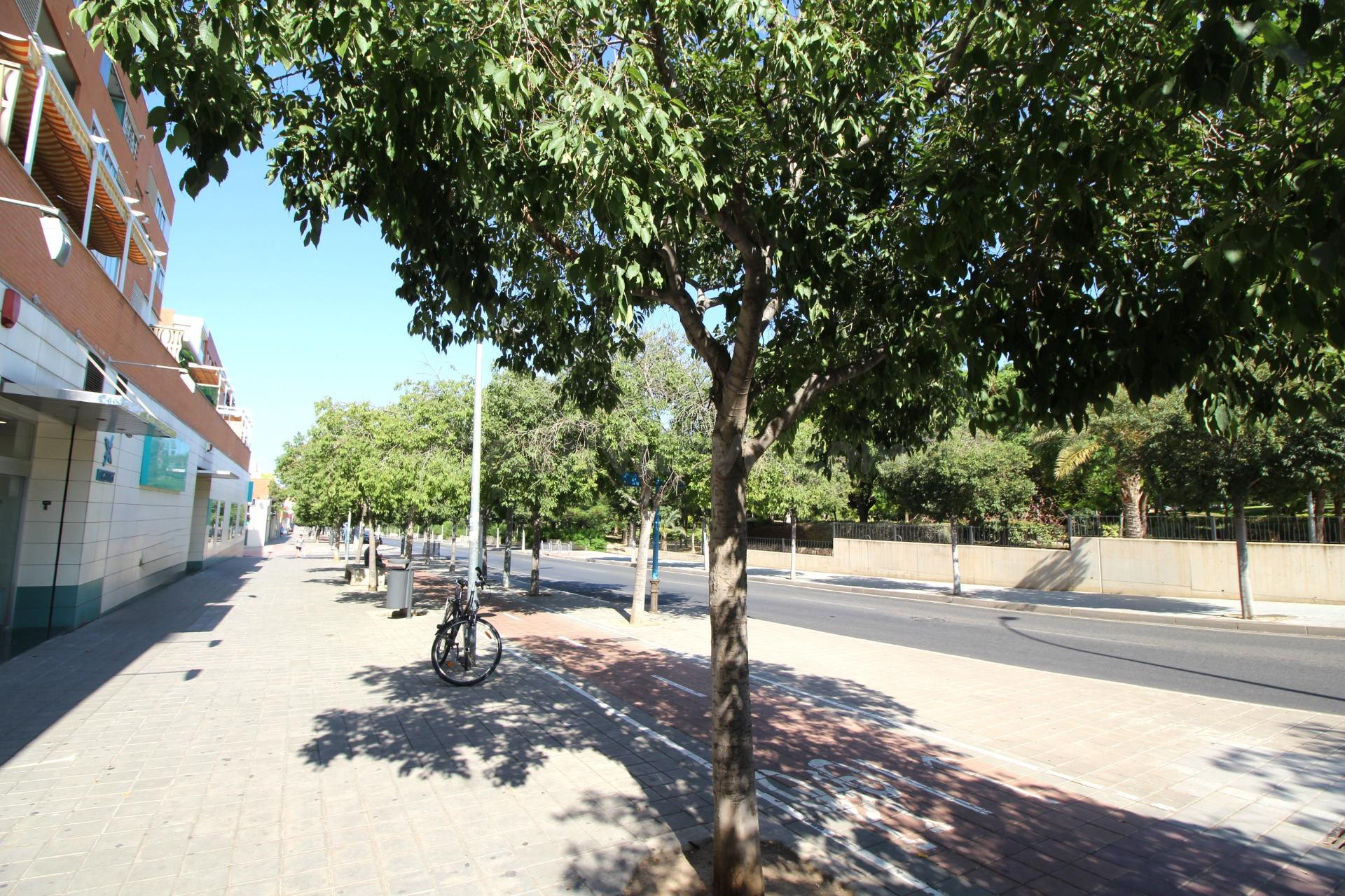 Amplio Local Comercial en Alquiler - Oportunidad Estratégica en Alicante