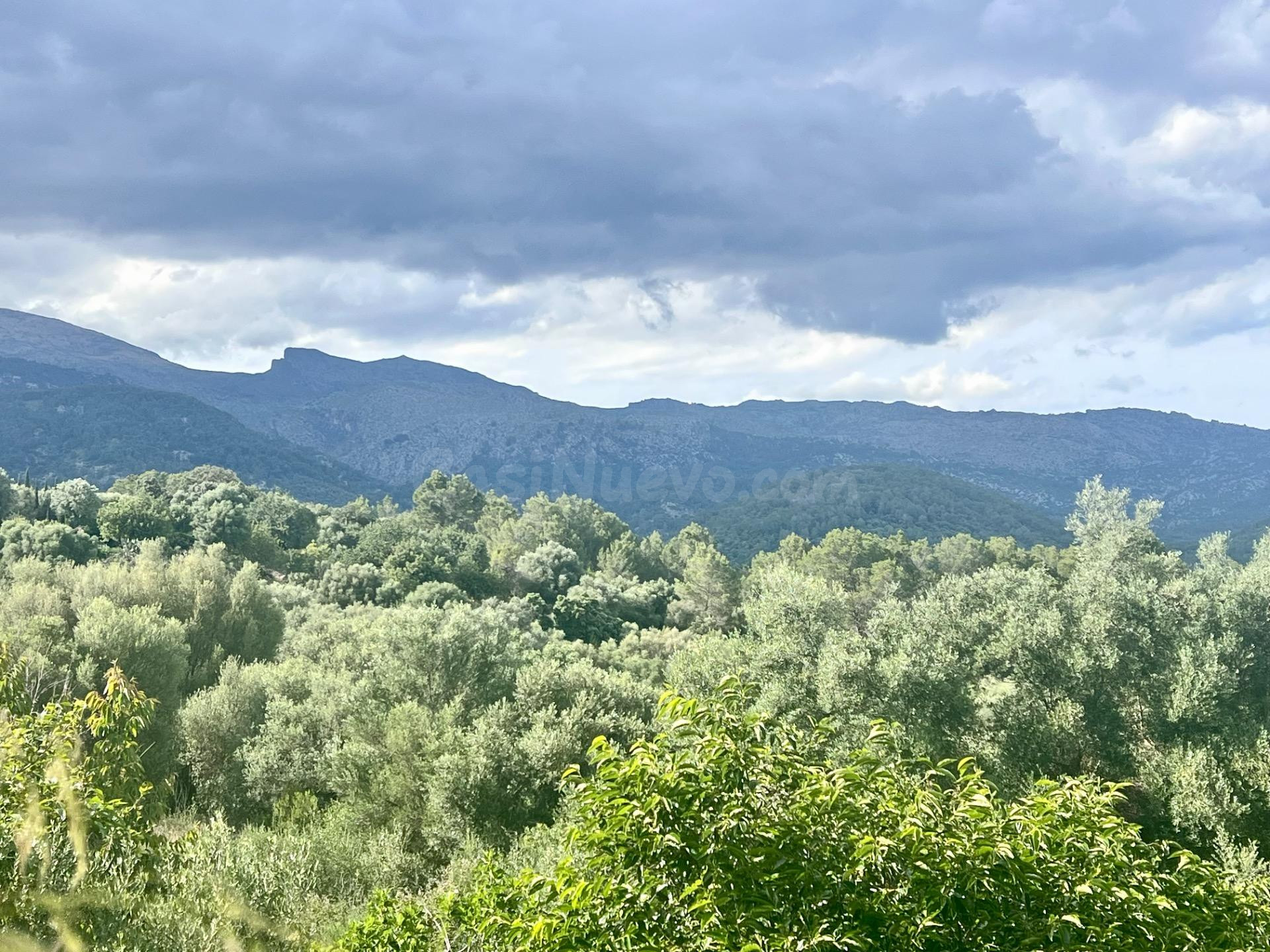 Solar en Campanet