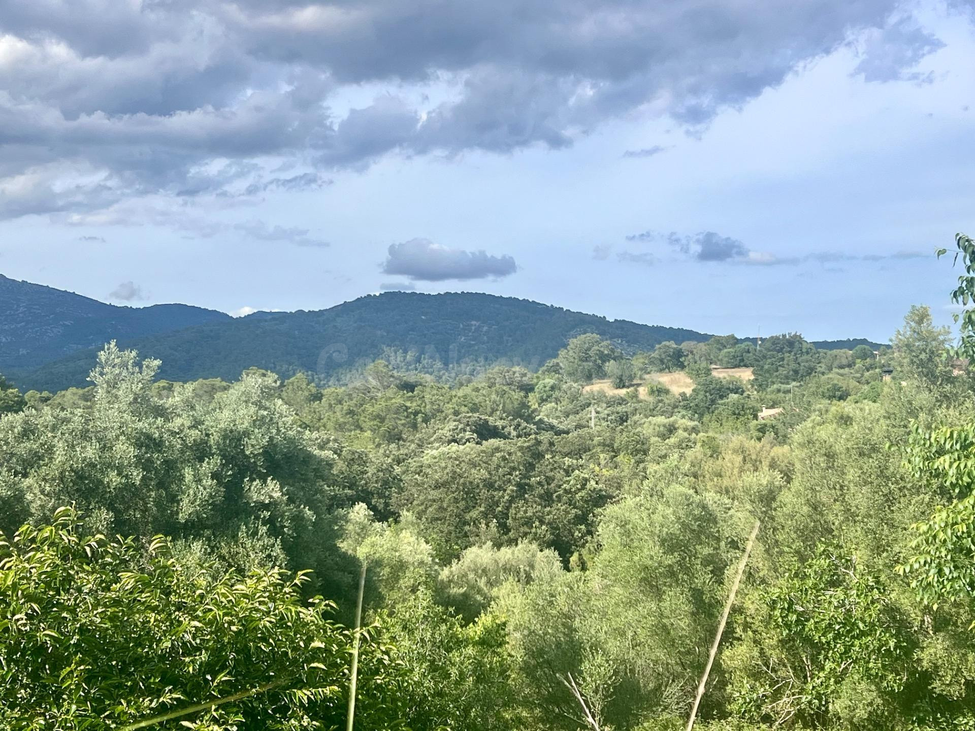 Solar en Campanet - foto 3