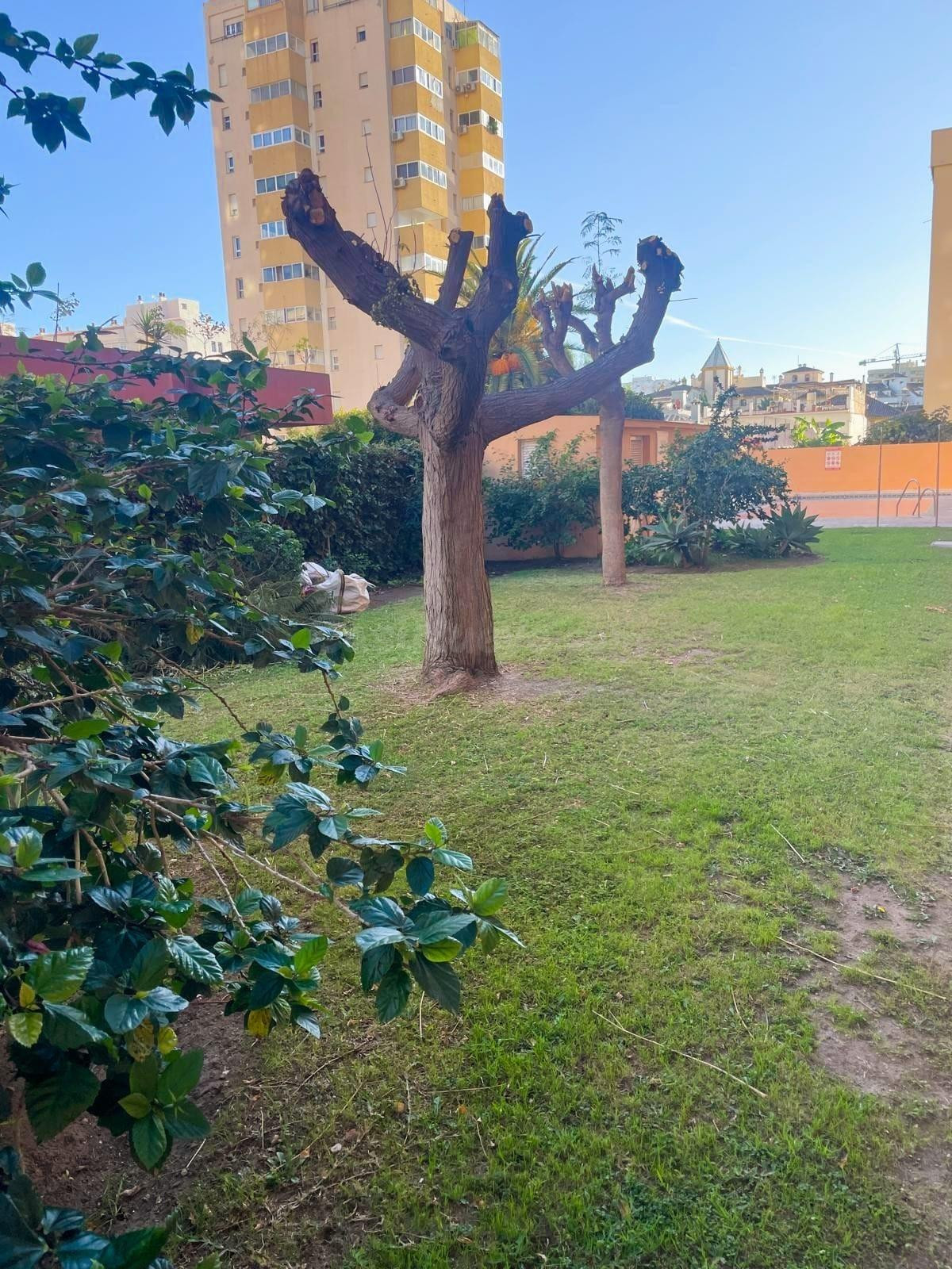 Oportunidad en Recinto Ferial: Piso de 3 Dormitorios con Garaje, Trastero y Piscina. ¡Orientación Sur!
