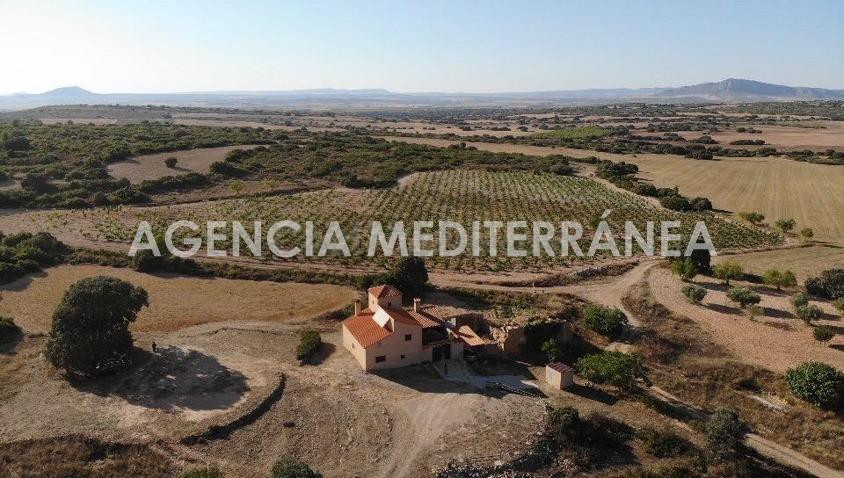 FINCA RÚSTICA EN ALMANSA, DE 100 HECTÁREAS CON CASA UNIFAMILIAR EN PERFECTO ESTADO.