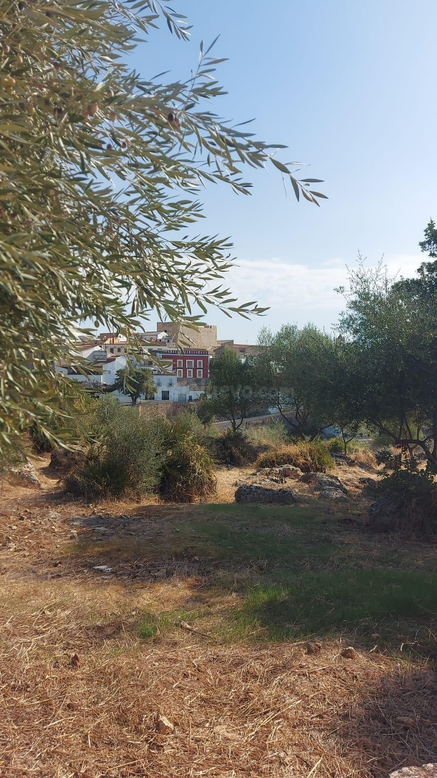 Casa reformada con licencia turística en plena naturaleza - foto 5