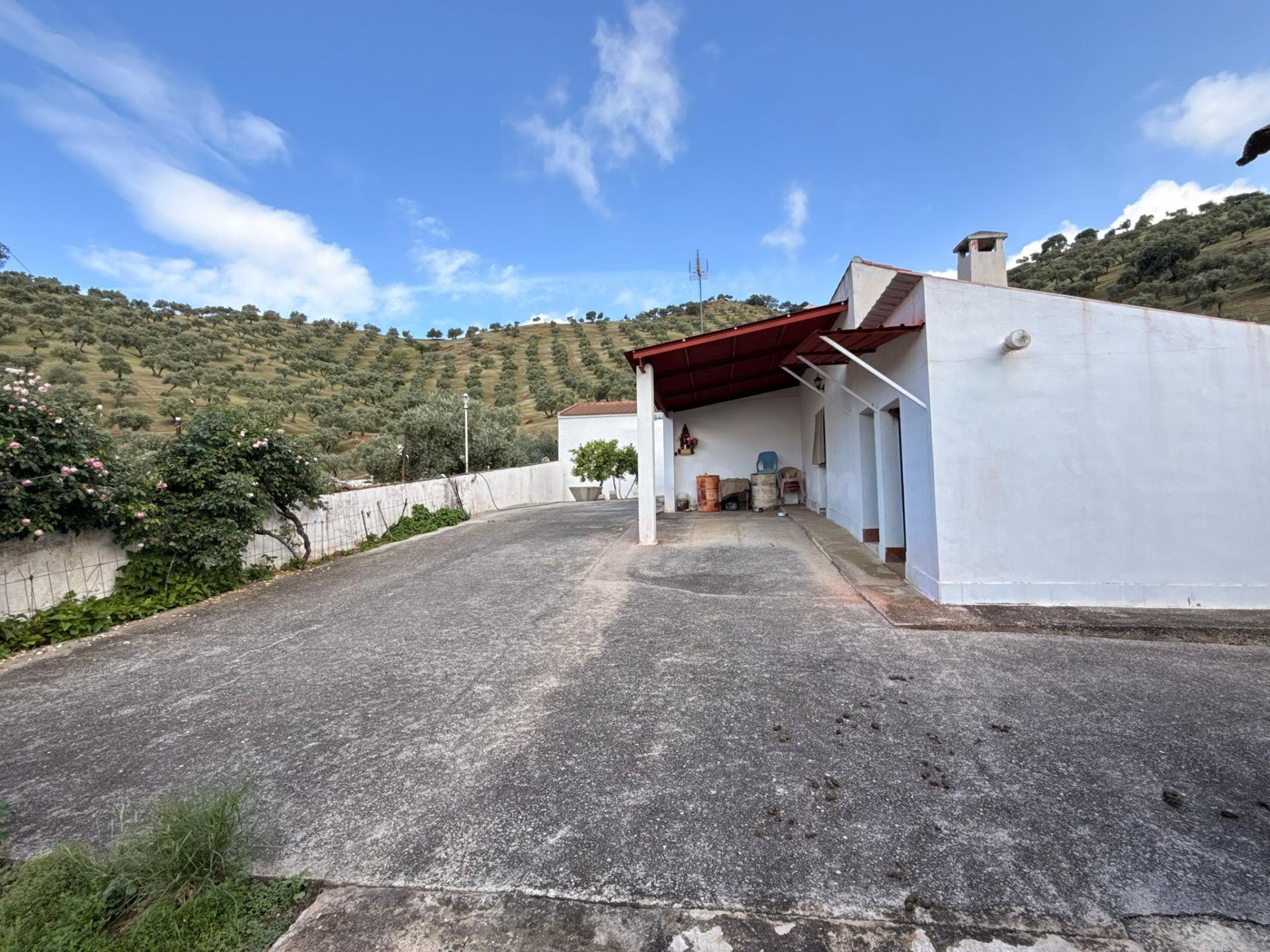 Finca rústica de 26 ha con 3.000 olivos ecológicos, cortijos y alta producción.