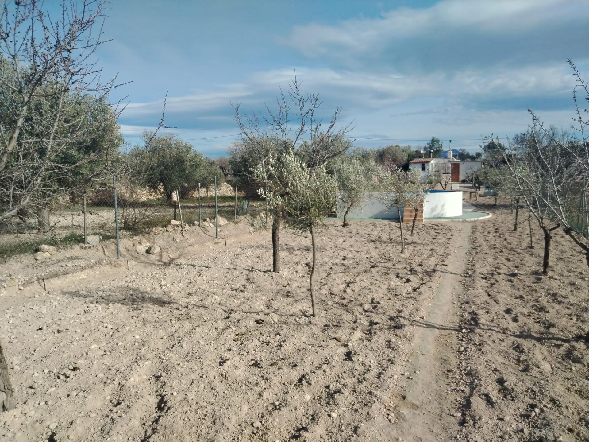 Terreno rústico de 1.133 m2 (103 m x 11 m Aproximadamente) t - foto 2