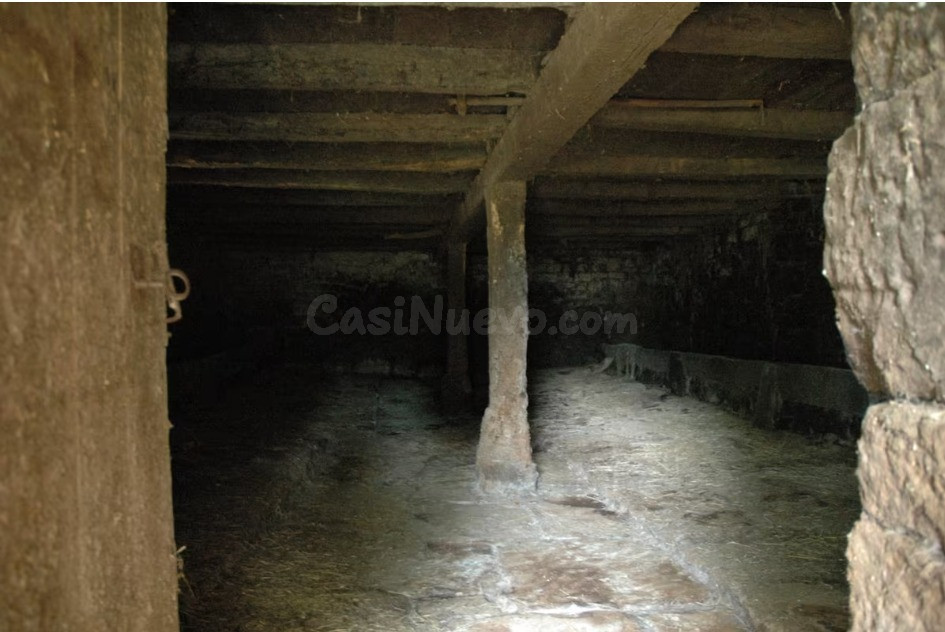 CABAÑA PASIEGA CON FINCA EN EL CORAZÓN DE VEGA DE PAS.- - foto 5
