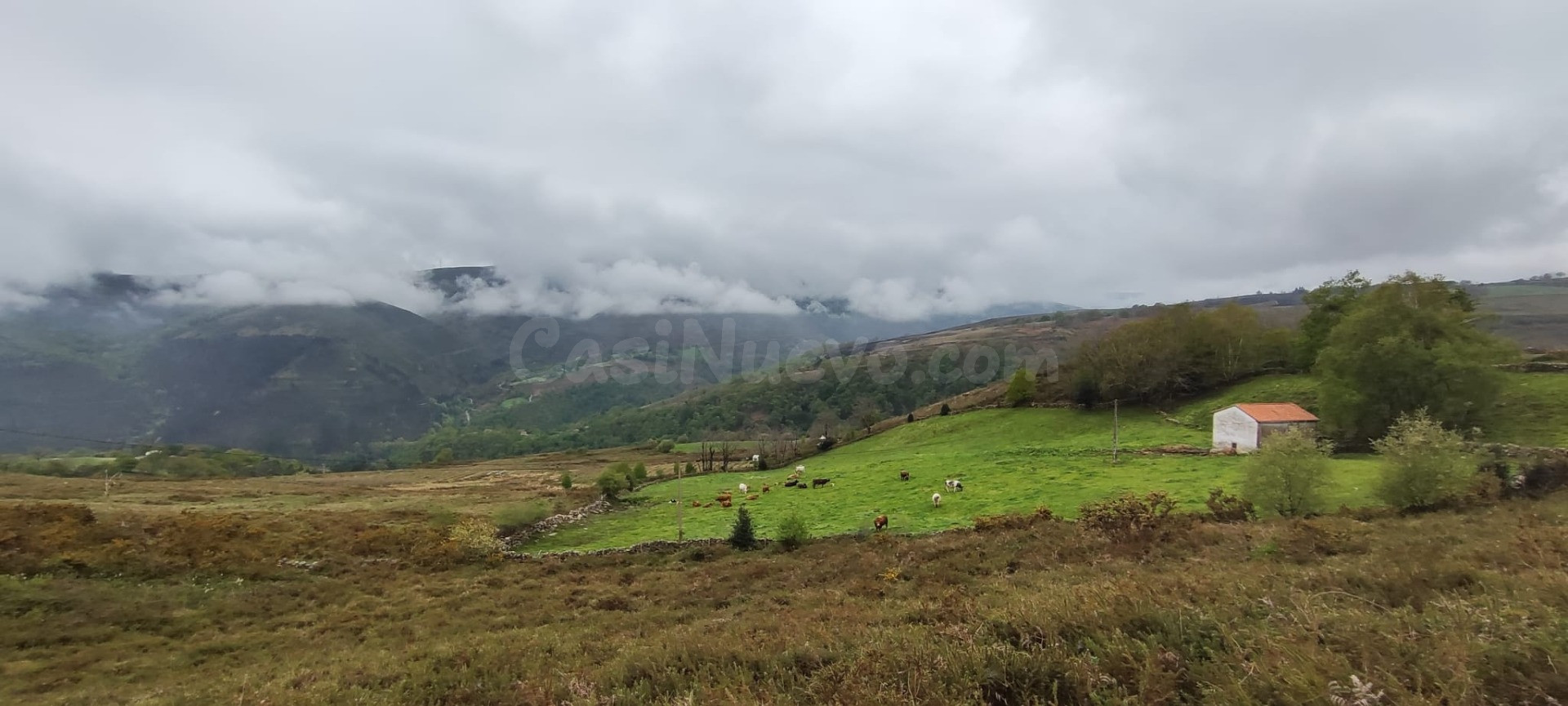 FINCA RÚSTICA CON CABAÑA Y VISTAS PANORÁMICAS EN LUENA.-