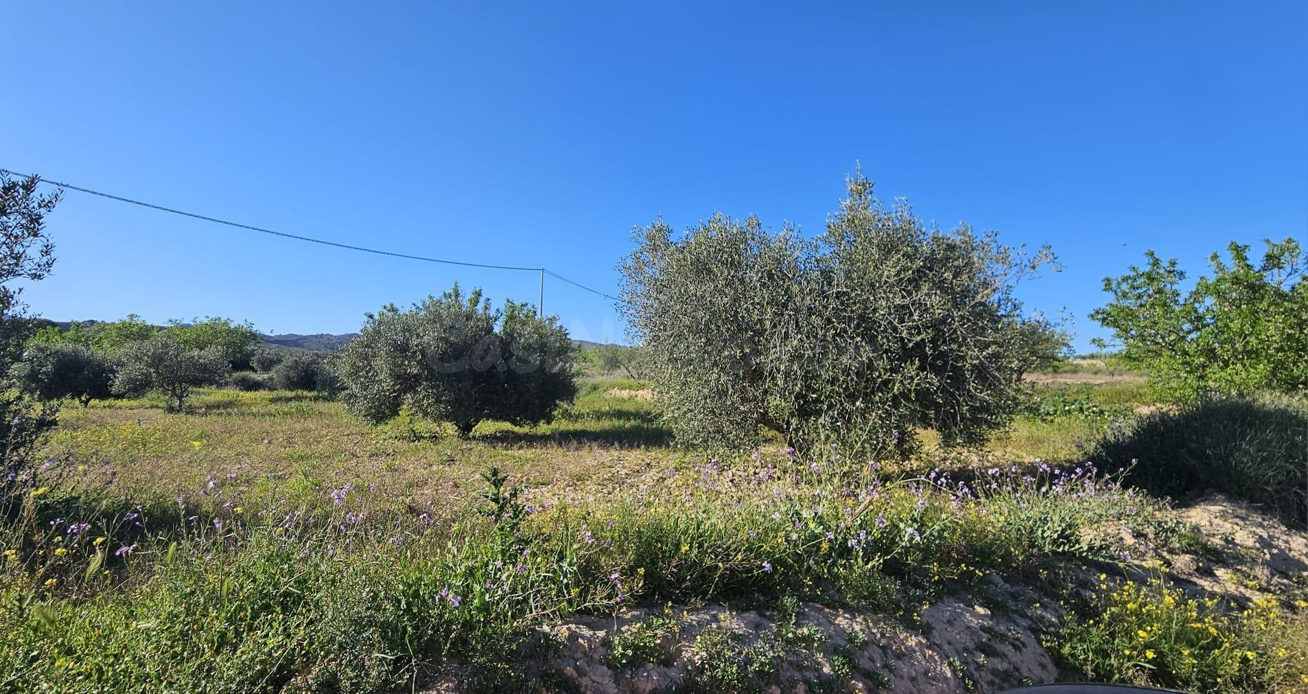 Se vende parcela rústica de 17.000 m2 en Corvera