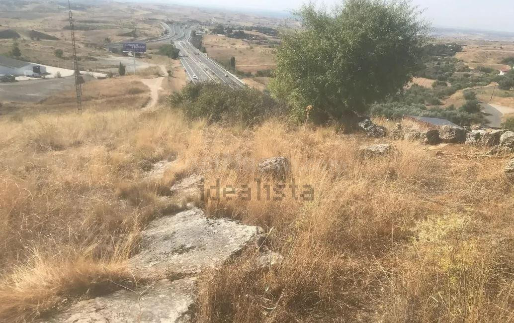 Terreno rural en venta - El Molar - foto 4