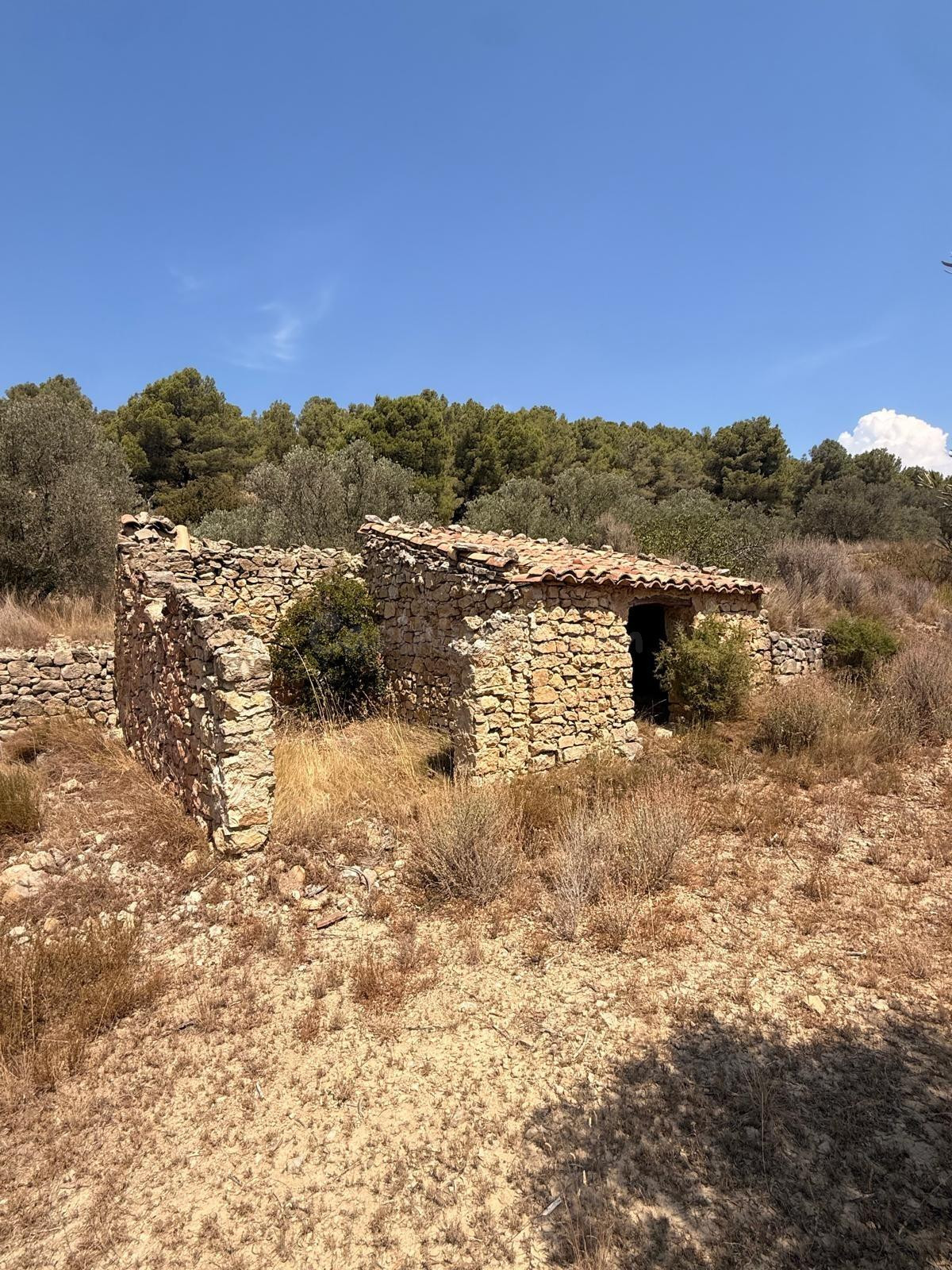 ¡GRAN OPORTUNIDAD: SE VENDE PARCELA CON CASETA DE PIEDRA Y O