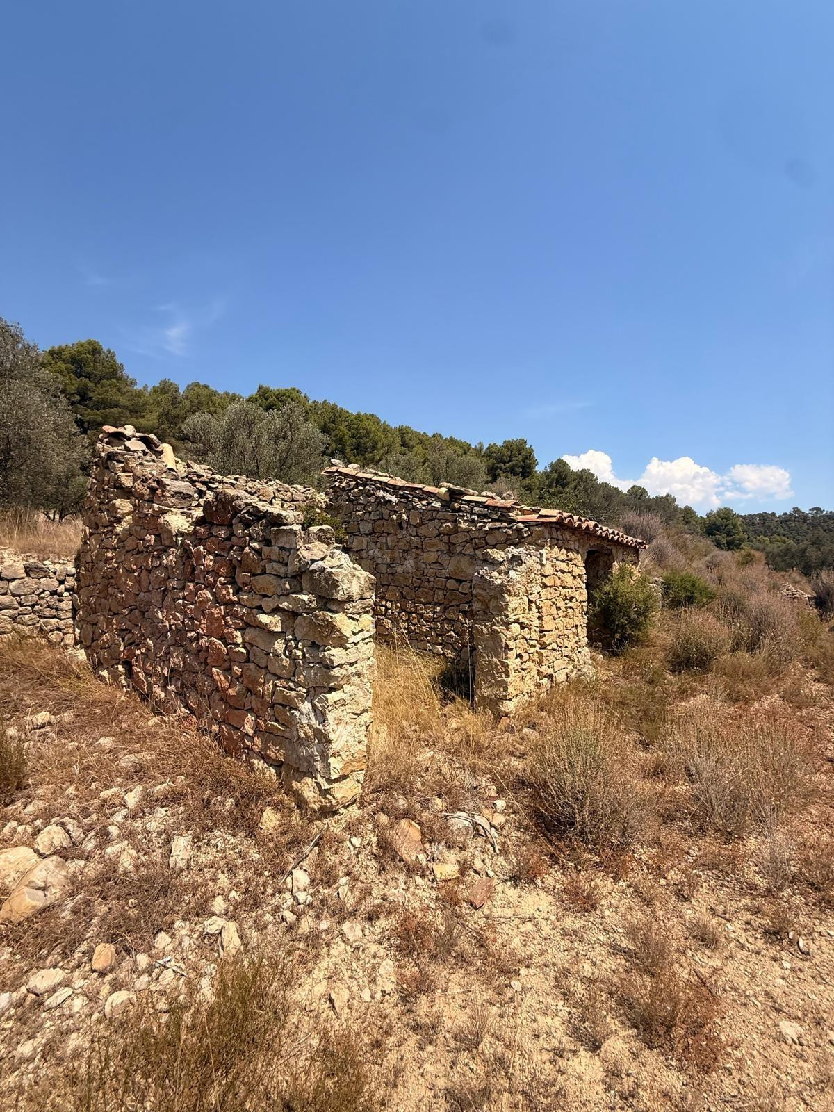 ¡GRAN OPORTUNIDAD: SE VENDE PARCELA CON CASETA DE PIEDRA Y O - foto 2