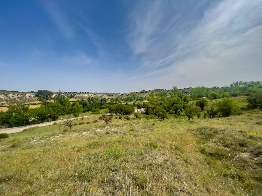 Terreno en venta en calle Carahorma G 587, Lillo - foto 2