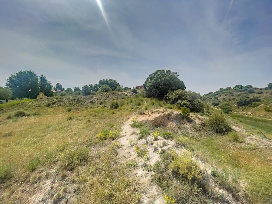 Terreno en venta en calle Carahorma G 587, Lillo - foto 5