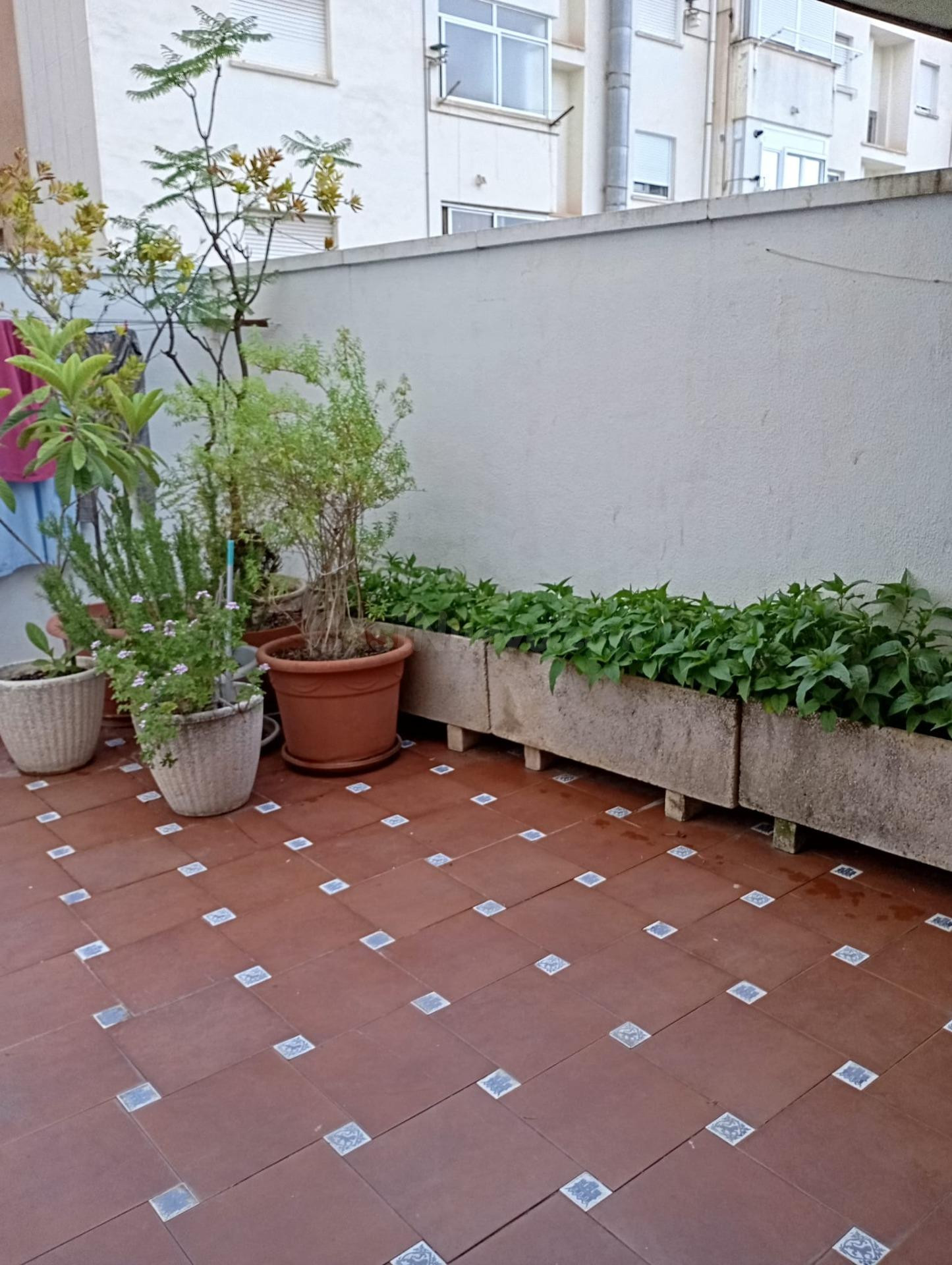 Piso en venta en Calle Santa Rosa--
