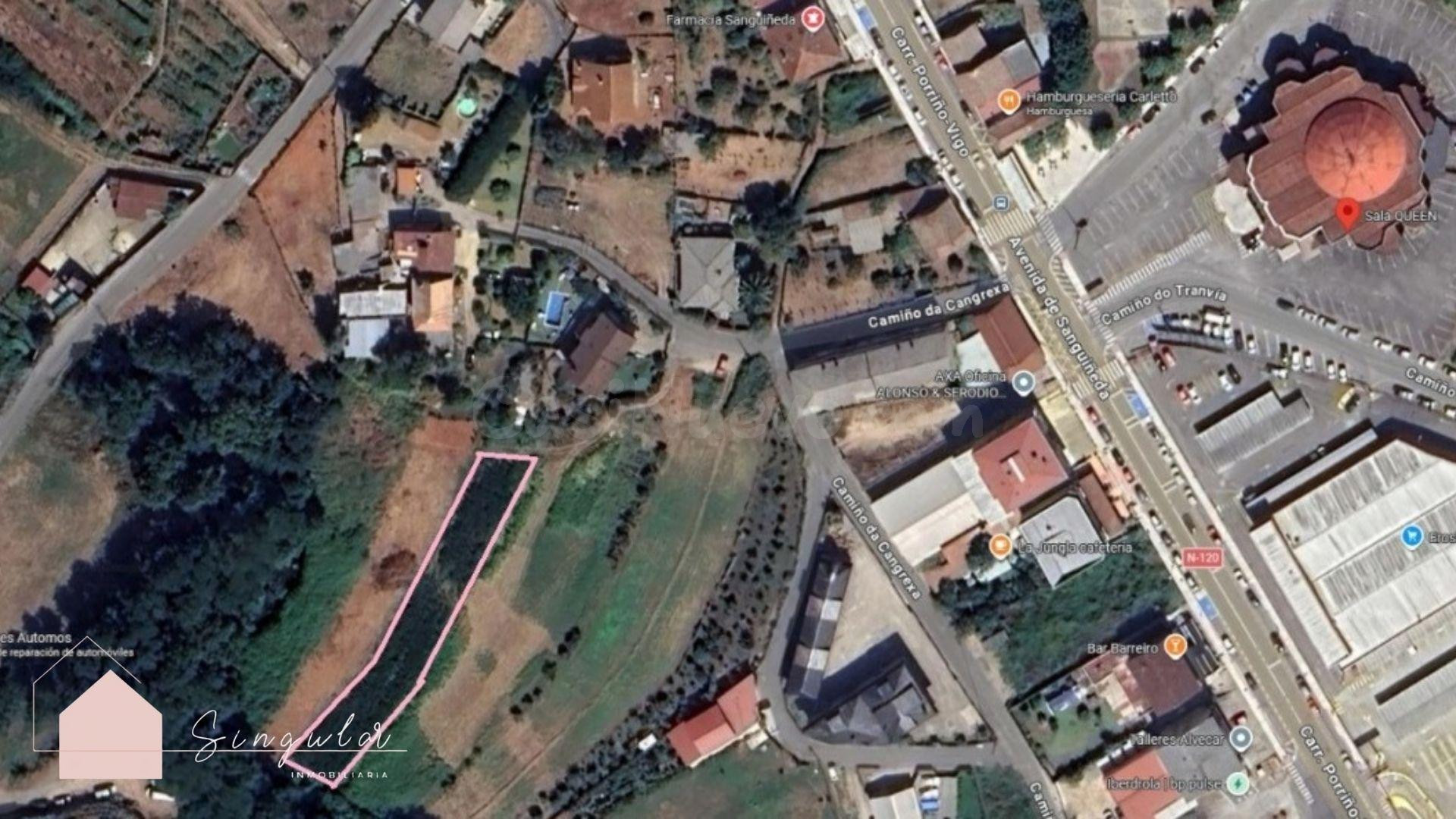 PARCELA RÚSTICA EN SANGUIÑEDA