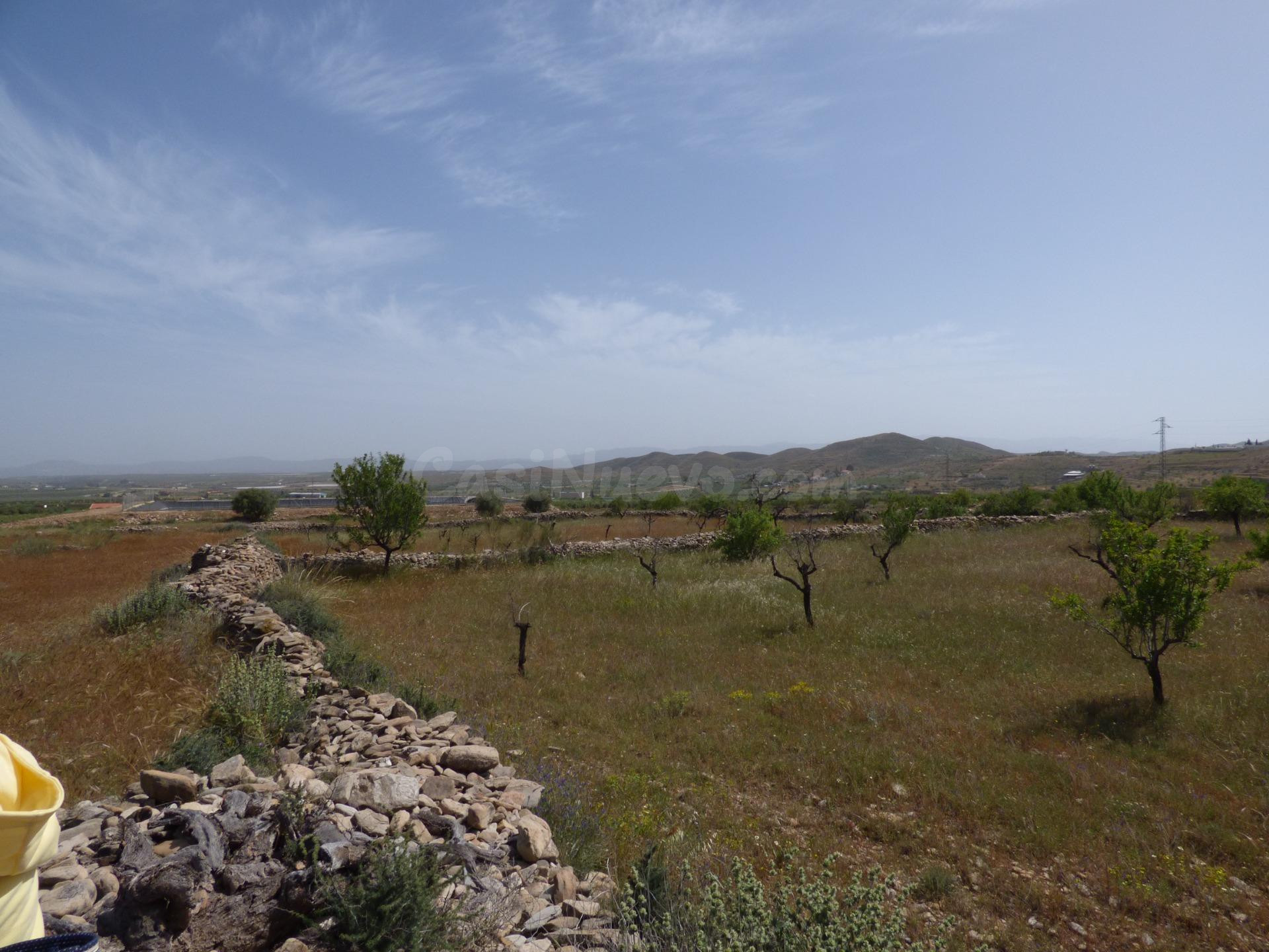 Terreno rural en venta - Andalucia - foto 2