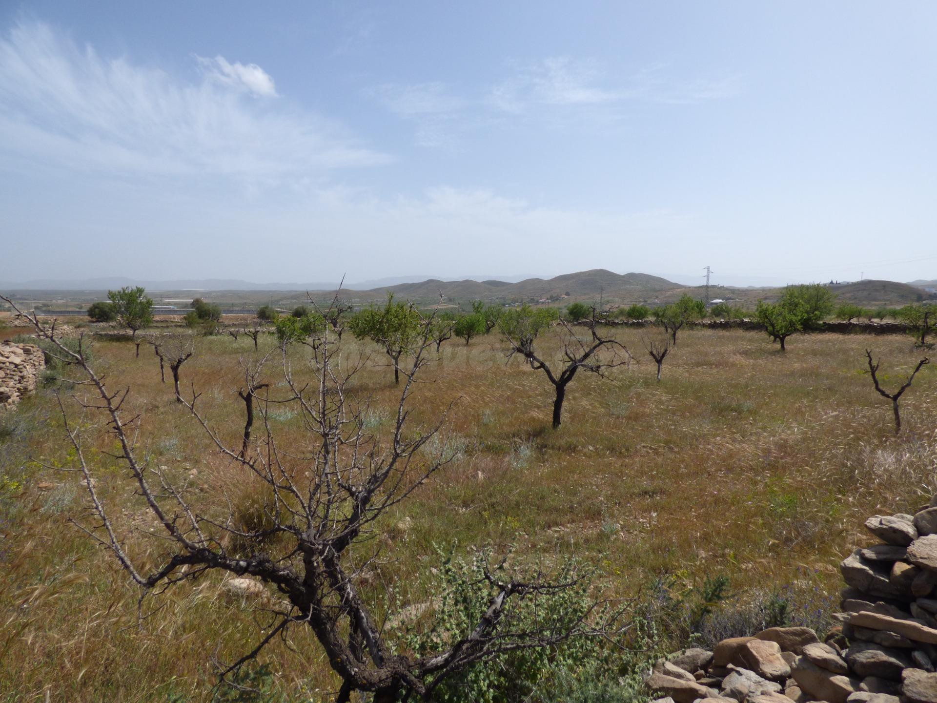 Terreno rural en venta - Andalucia - foto 4