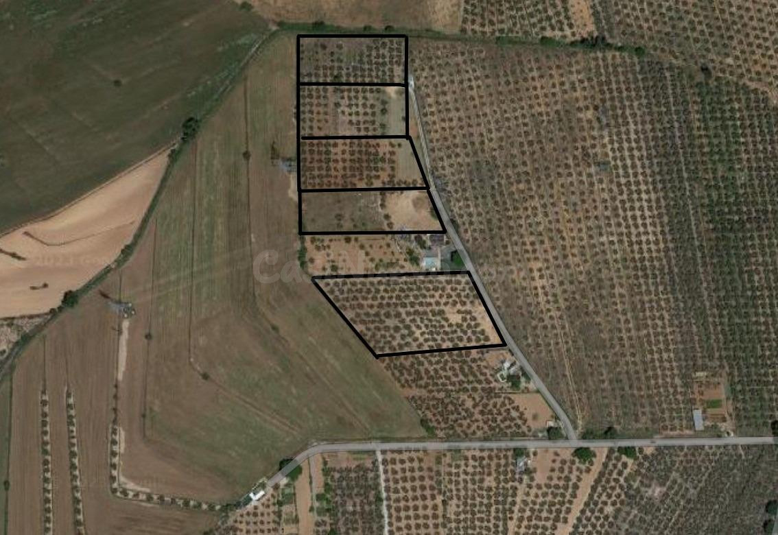 Finca rústica en venta