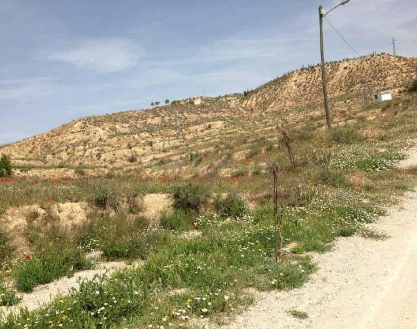 TERRENO URBANIZABLE A LA VENTA EN CULLAR (GRANADA) - foto 4