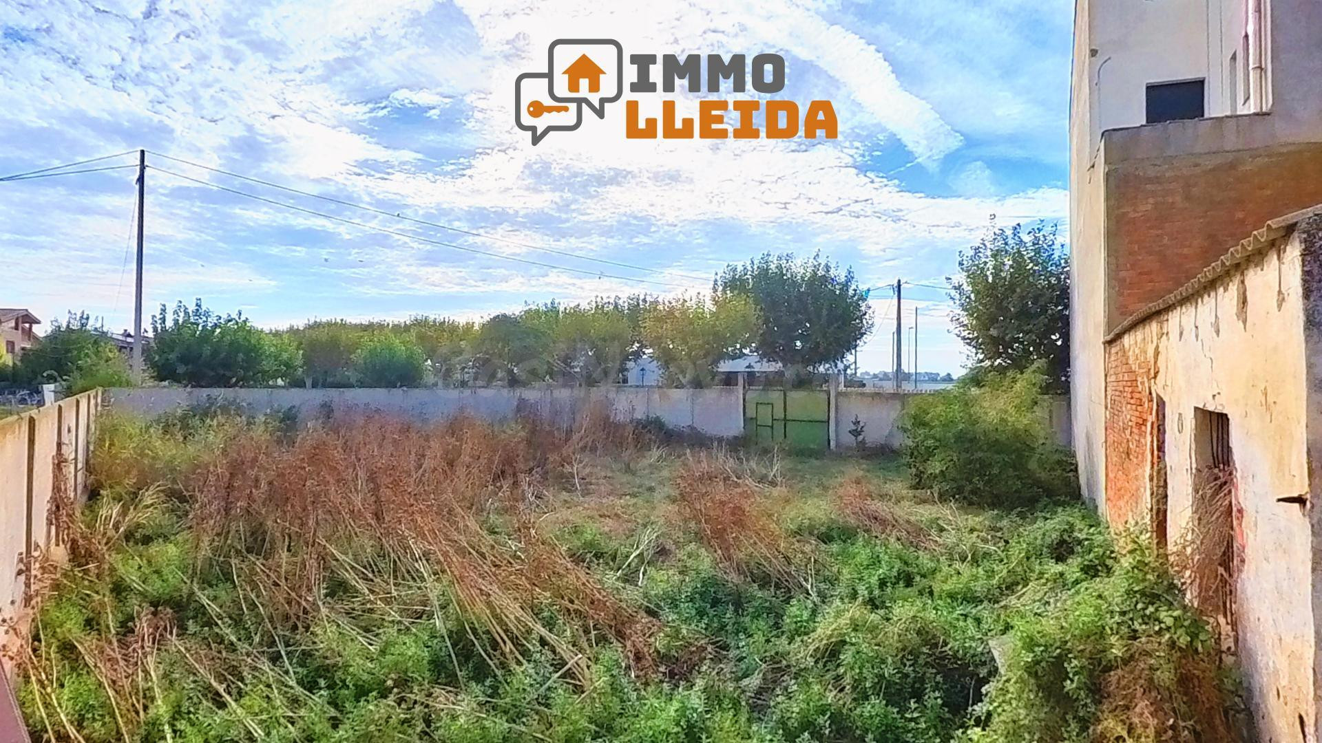 OPORTUNIDAD Almacén y solar urbano en Boldú - foto 4